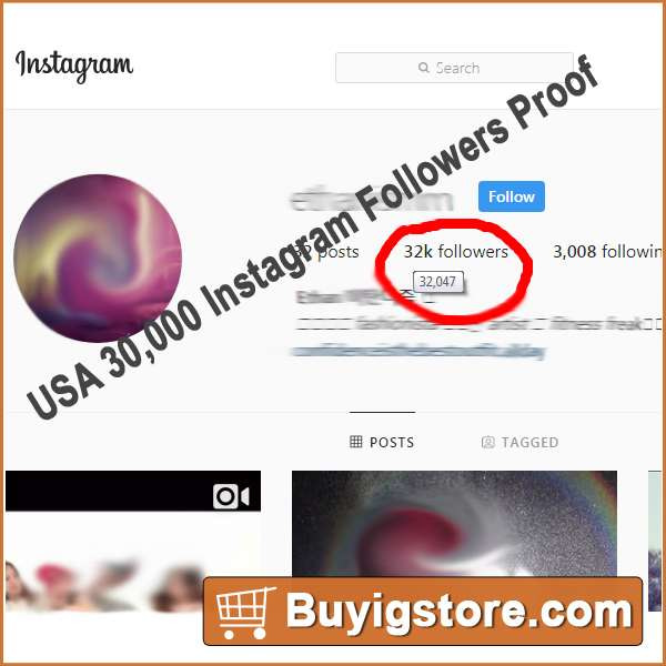 USA 30,000 Instagram Followers Proof 3