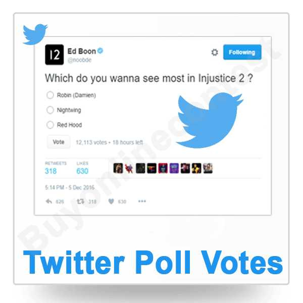 Buy Twitter Poll Votes